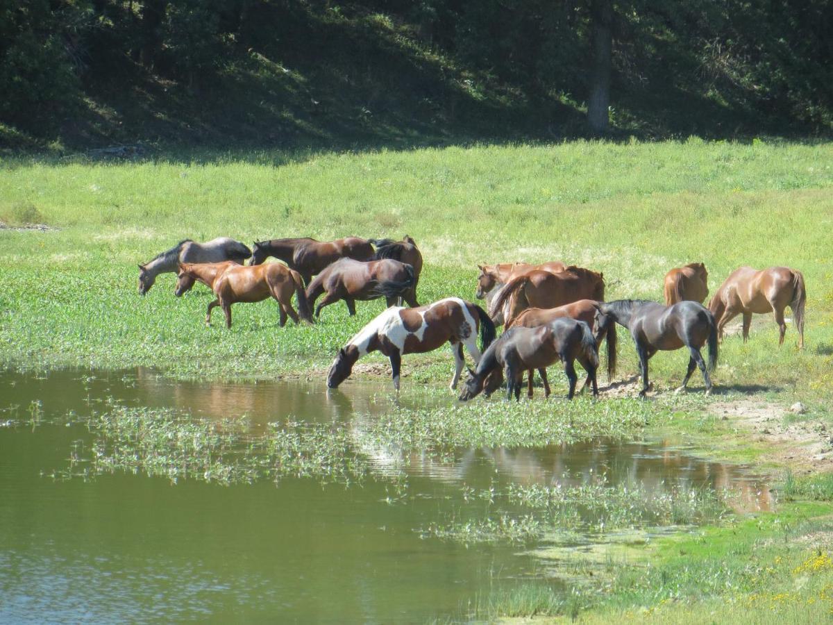 lake guest ranch Villa Devils Tower Buitenkant foto